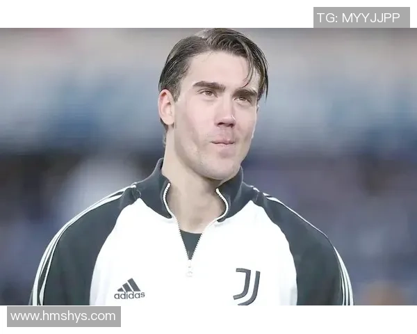 弗拉霍维奇：从新星崛起到足球巨星的奋斗历程与未来展望